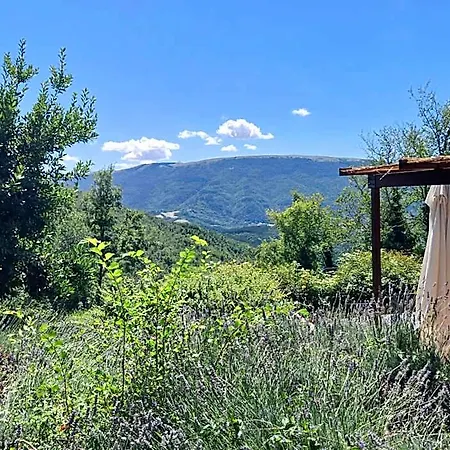La Tavola Dei Cavalieri