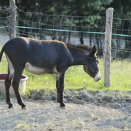La Tavola Dei Cavalieri