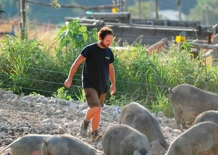 La Tavola Dei Cavalieri 3* Asís