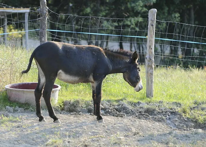 La Tavola Dei Cavalieri